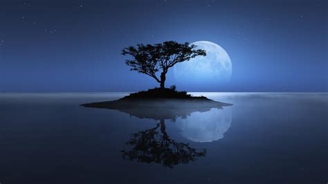 Night Nature Wallpapers - Top Free Night Nature Backgrounds - WallpaperAccess