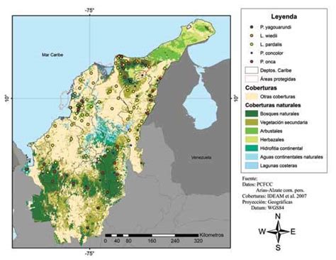 Distribución de felinos en la región Caribe de Colombia | Download ...