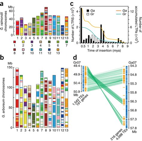 Whole-genome alignment and expansion of the G. arboreum genome. (a,b)... | Download Scientific ...