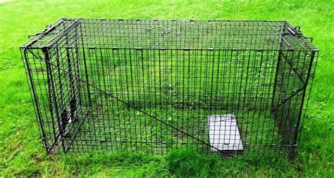 Humane Way 914050 Live Animal Trap Xlarge 50x19x24 * See this great product. (This is an ...