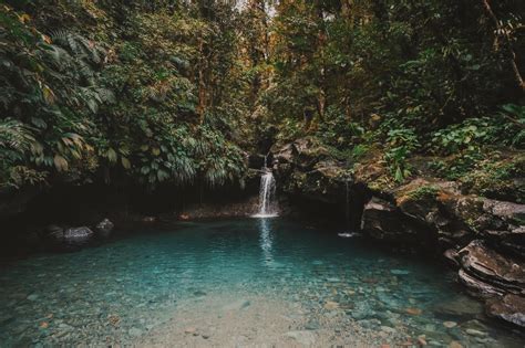 The 6 most beautiful waterfalls on the island of Guadeloupe (Basse Terre) | Het is de Merckx