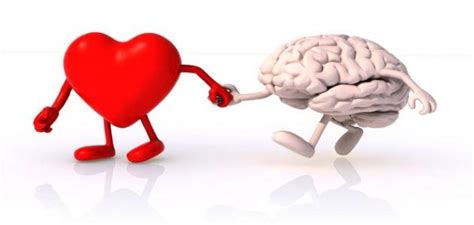 The difference between the heart and mind