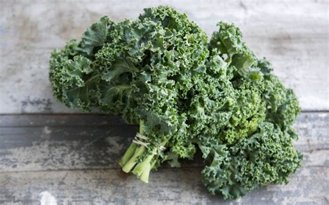 Organic Green Curly Kale - From Our Farmers - SF Bay | Good Eggs