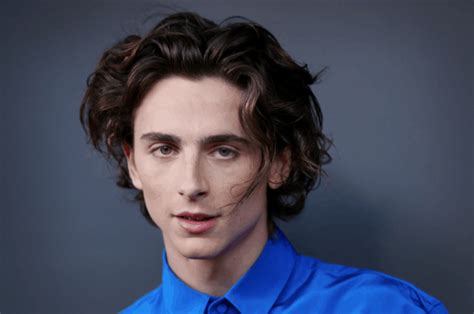 Timothee Chalamet all set to play young 'Willy Wonka' - Celeb Doko