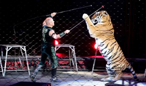 America’s largest animal circus closes after 146 years! - Stop Circus ...