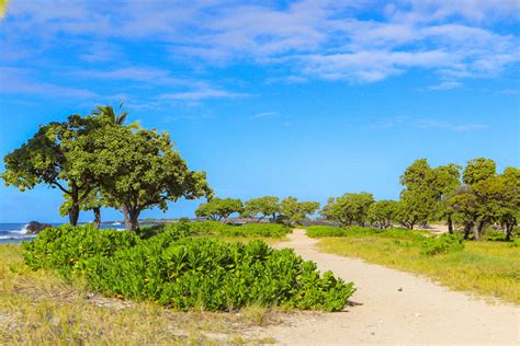 10 Best Hiking Trails on the Big Island + Big Island Trail Guide