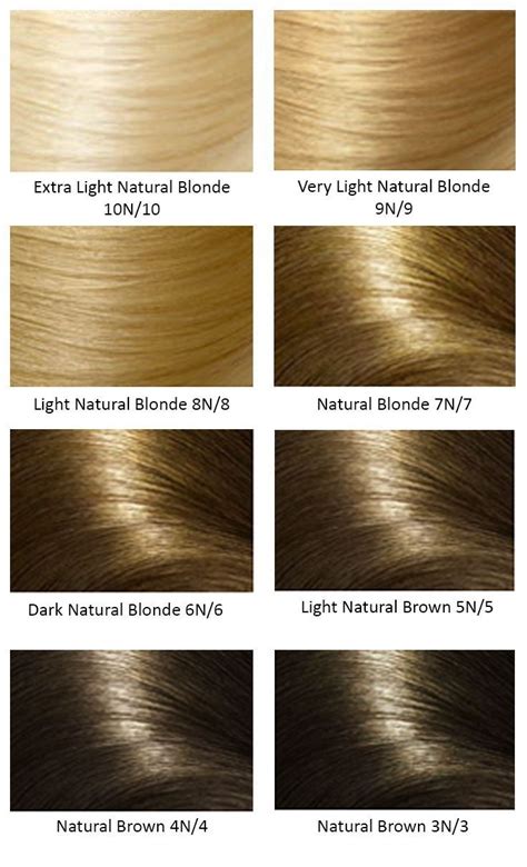 Here's What People Are Saying About Argan Oil Hair Color Chart | Blonde ...