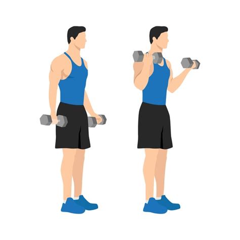 360 Cartoon Bicep Curl Royalty-Free Photos and Stock Images | Shutterstock