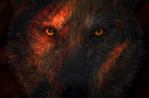 Wolf Eyes Wallpapers - Top Free Wolf Eyes Backgrounds - WallpaperAccess