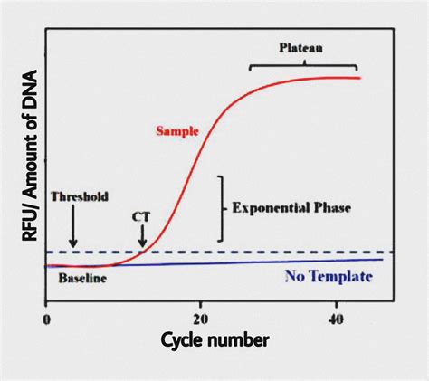 Real time PCR – The Biotech Notes