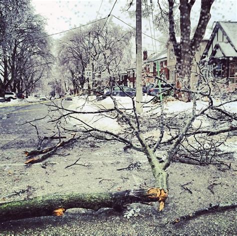 Photos of the 2013 Toronto ice storm