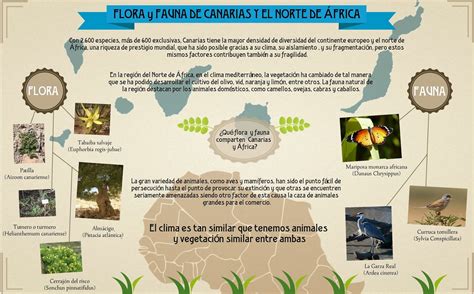 Bioramos9: Flora y fauna en comun entre Canarias y Norte de África