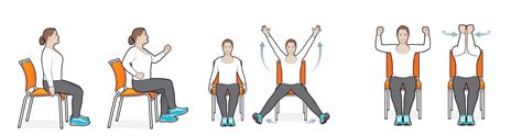 Exercises For Seniors: Exercises For Seniors To Reduce Belly Fat