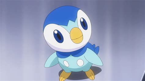 Dawn's Piplup - Bulbapedia, the community-driven Pokémon encyclopedia