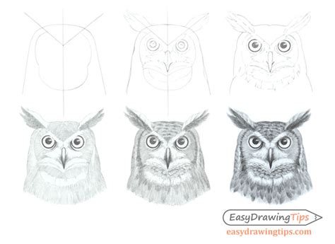 How to Draw an Owl's Face & Head Step by Step - EasyDrawingTips