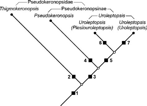 Diagram of phylogenetic relationships within the Pseudokeronopsidae.... | Download Scientific ...