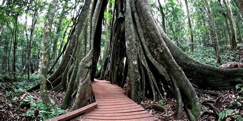 The Great Bunya Drive - Explore the highways of regional Australia