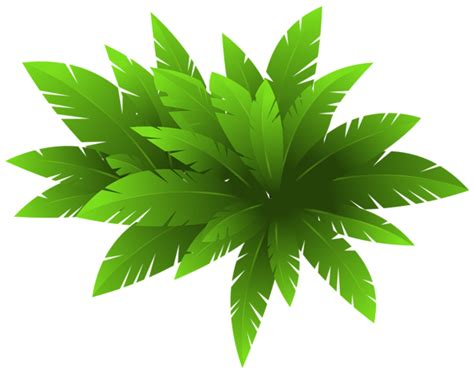 Green Plant Decoration PNG Clipart Image | Plant clips, Green plants ...