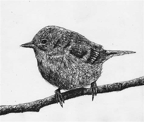 Scribble animals on Behance Ink Pen Art, Ink Pen Drawings, Animal ...