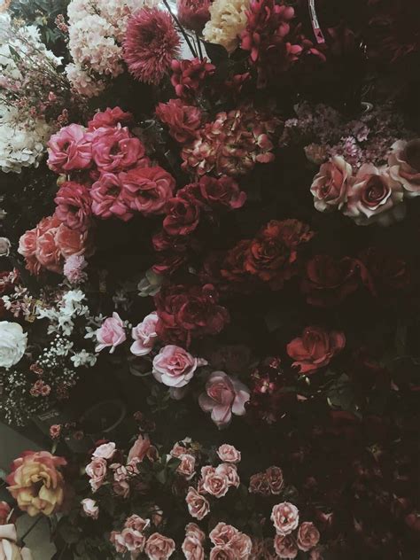 Download Colorful and Mysterious Dark Flower Aesthetic Wallpaper ...