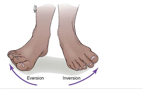 Body Mechanics and Positioning (Client Care) (Nursing) Part 2