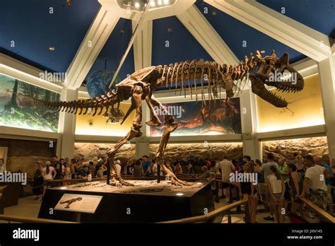 Inside the queue area of the DINOSAUR ride at Animal Kingdom theme Stock Photo: 154125893 - Alamy