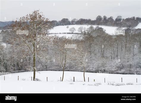 SUSSEX COUNTRYSIDE after snowfall, West Sussex, UK. December Stock ...