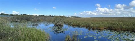 Anhinga Trail, Florida - 1,496 Reviews, Map | AllTrails