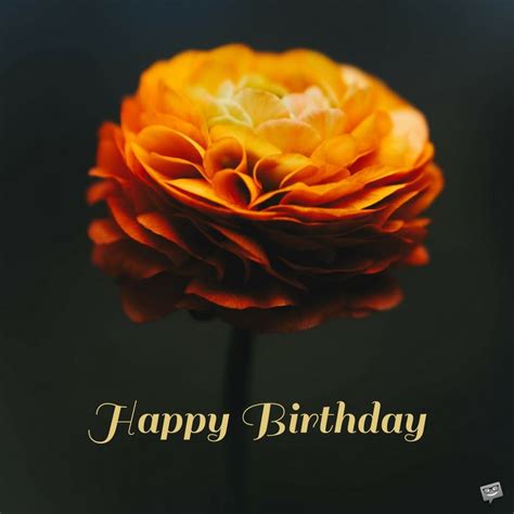 Floral Wishes eCards | Free Birthday Images with Flowers