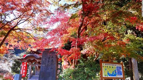 Tokyo's fall colors guide | CNN Travel