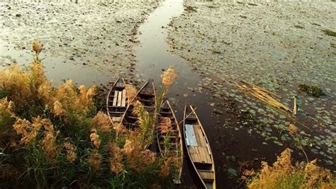 Lawachara National Park, Moulvibazar