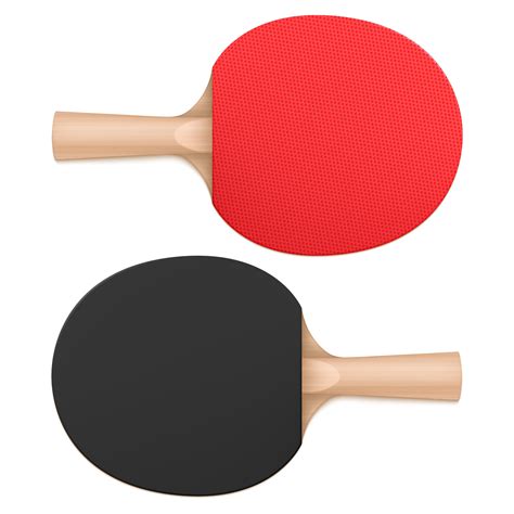 Paddle Tennis Vector Art, Icons, and Graphics for Free Download