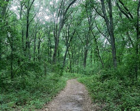 Hiking - Wisconsin Camping at Green Lake Campground