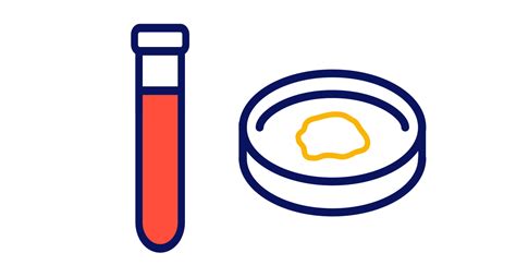 Types of Biological Samples: An Overview - SampleSmart