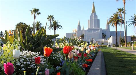 THE 10 BEST Things to Do in Oakland - Updated 2021 - Must See Attractions in Oakland, CA ...