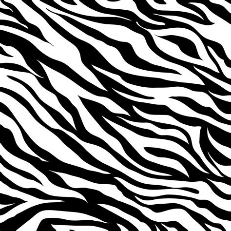 Zebra Skin Pattern Print Free Stock Photo - Public Domain Pictures