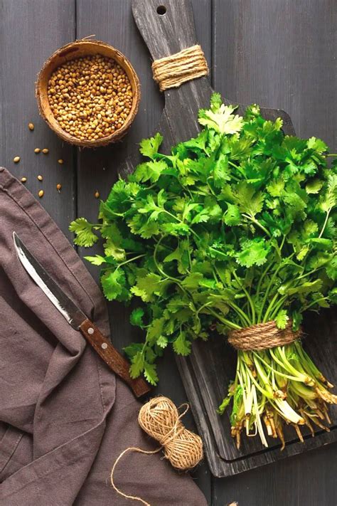 Coriander vs Cilantro: What are the Differences and similarities?