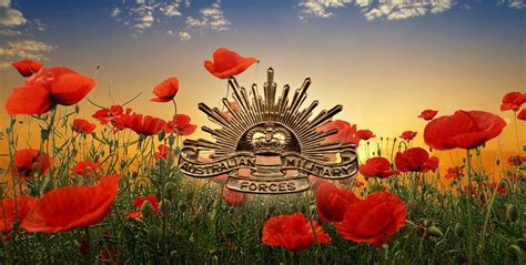 Download Flower Poppy Holiday Anzac Day Wallpaper