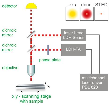 Stimulated Emission Depletion Microscopy (STED) | PicoQuant