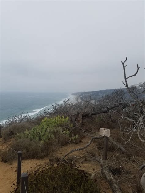 San Diego Hikes: Torrey Pines Guy Fleming Trail - Fun Diego Family