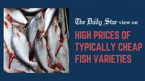 What’s driving up fish prices? | The Daily Star