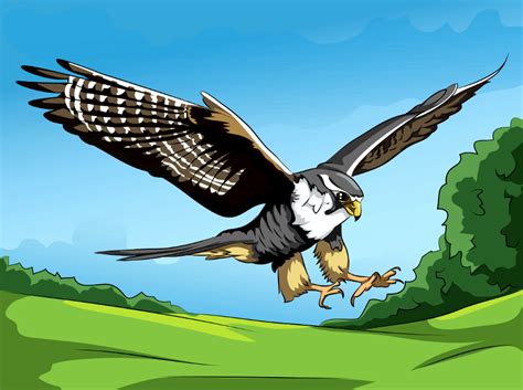 Peregrine Falcon - Free Stock Illustrations | Creazilla