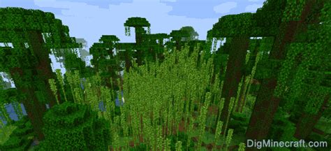 Bamboo Jungle in Minecraft