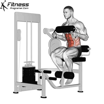 Seated Ab Crunch Machine » Workout Planner