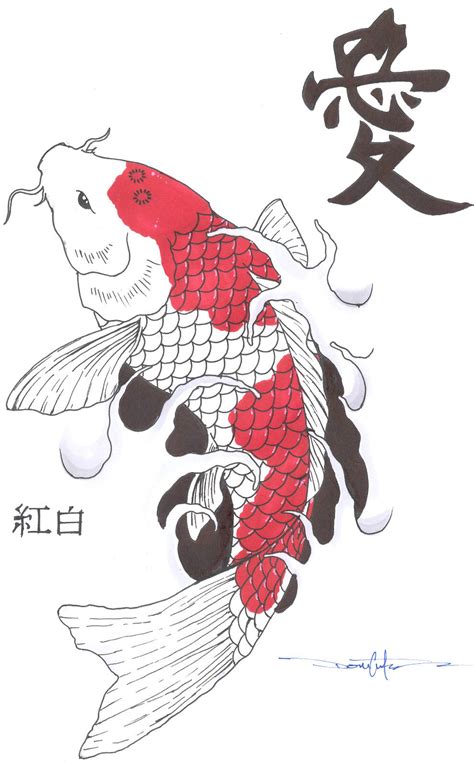 chinese koi illustrations | Arte koi, Pez koi dibujo, Ilustraciones