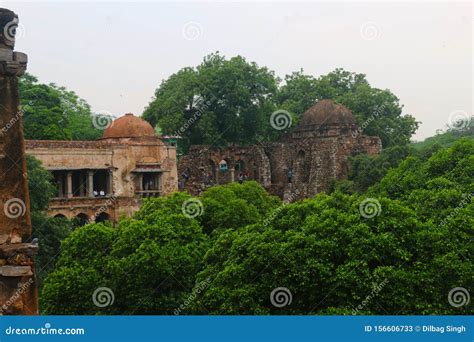 Hauz Khas Fort editorial stock photo. Image of history - 156606733