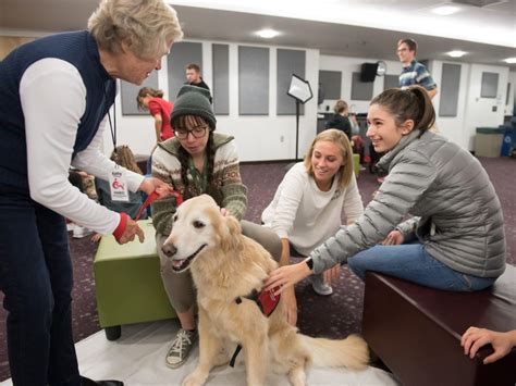 Welcome to HABIC - Human-Animal Bond in Colorado