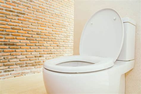 kohler tankless toilet bowl for small bathrooms + Buy - Arad Branding