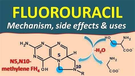 Fluorouracil (FU) - Mechanism, side effects and uses - YouTube