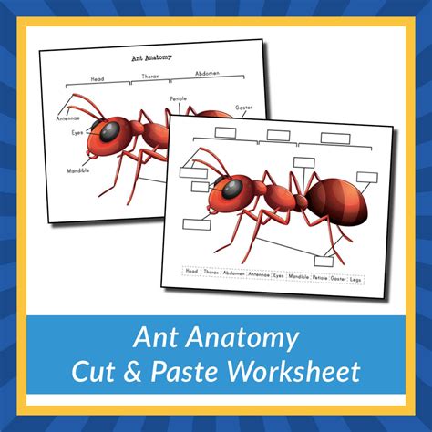 Ant Anatomy Cut & Paste Worksheet - Gift of Curiosity